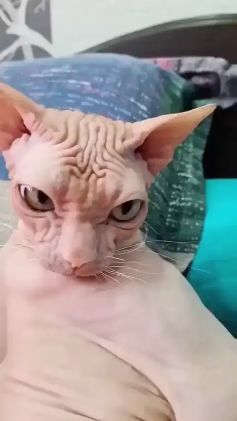 Жизнь удалась