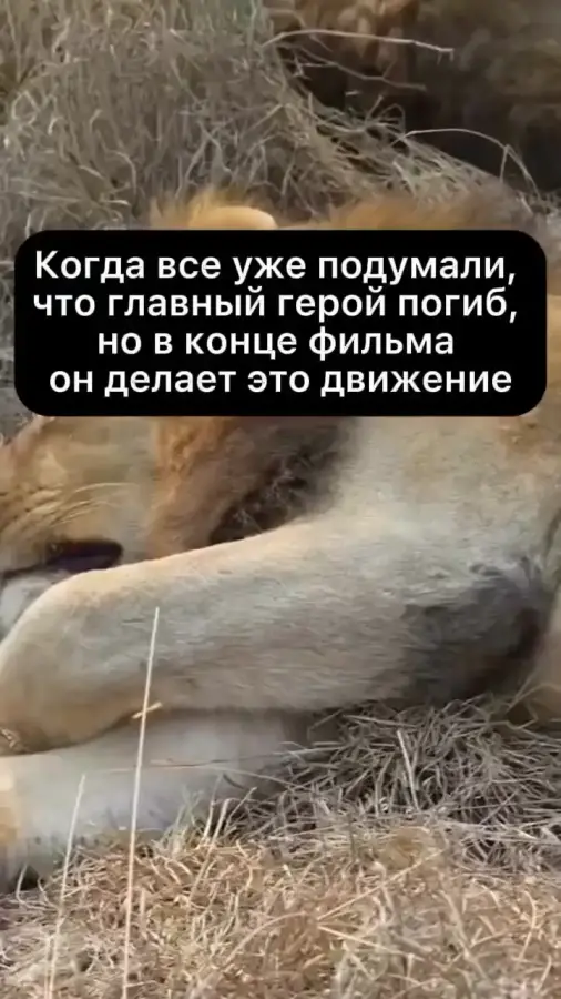 Значит будет вторая часть