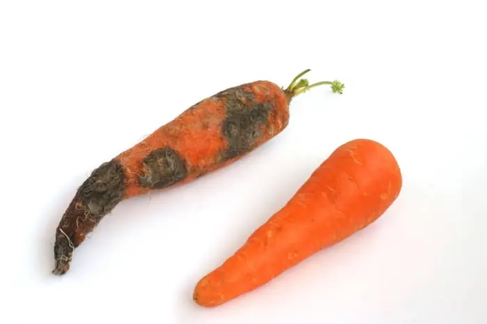 5 продуктов, которые можно есть даже с плесенью