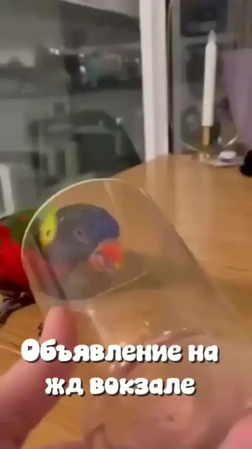 Заголовок