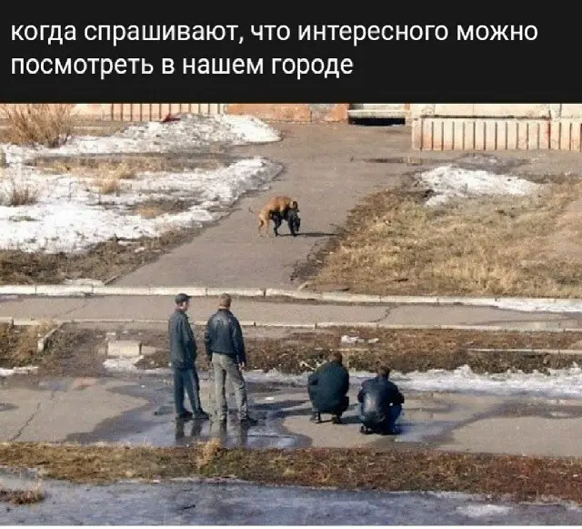20 смешных снимков из соцсетей для хорошего настроения