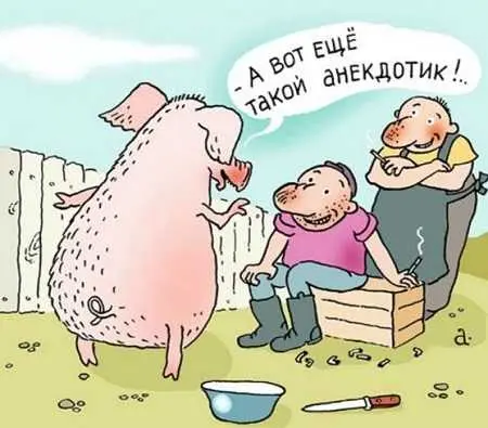 25 свежих анекдотов на сегодня: коротко и без долгого разгона