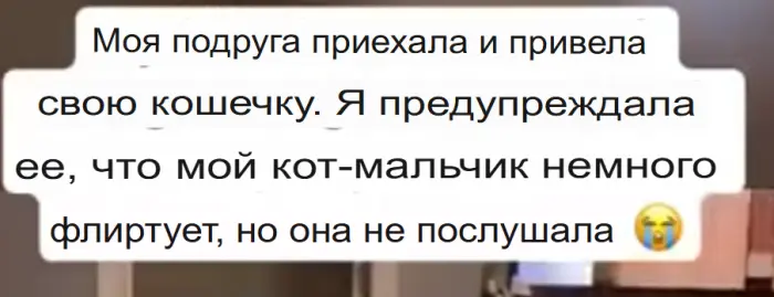 А лапки то - вот они!