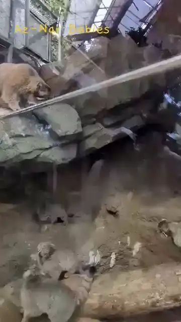 Броуновское движение