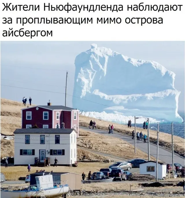 Доза юмора, которой не было в планах