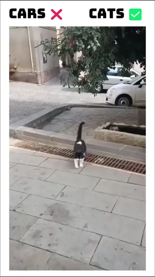 Дрифт