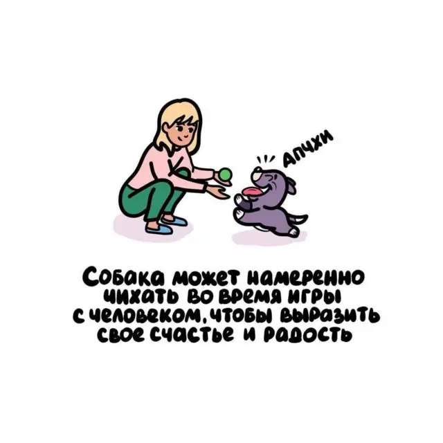 Факты, которые удивляют