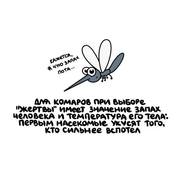 Факты, которые удивляют