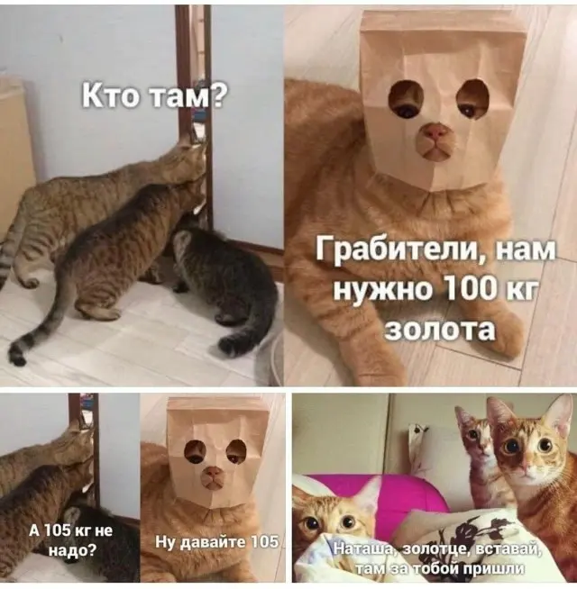 Интернет снова постарался: юмор в картинках