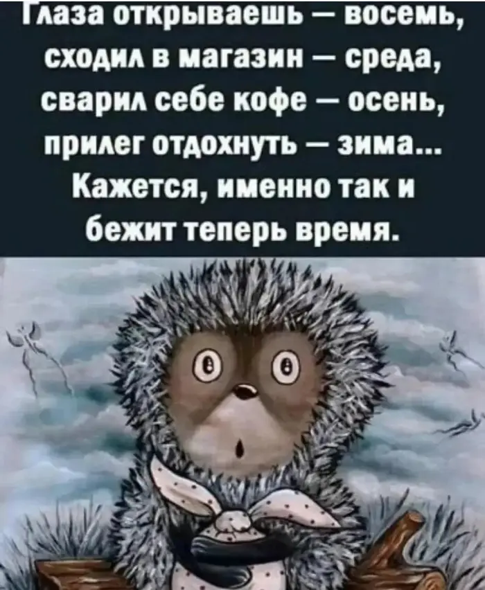 Юмор в картинках