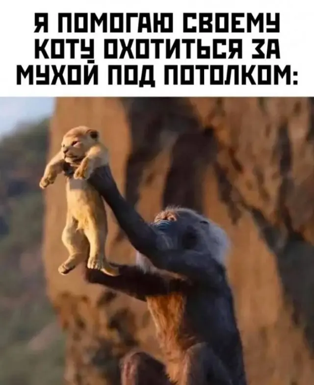 Картинки, которые не оставляют шансов скуке