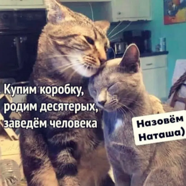 Картинки, которые рассмешат даже самых серьёзных