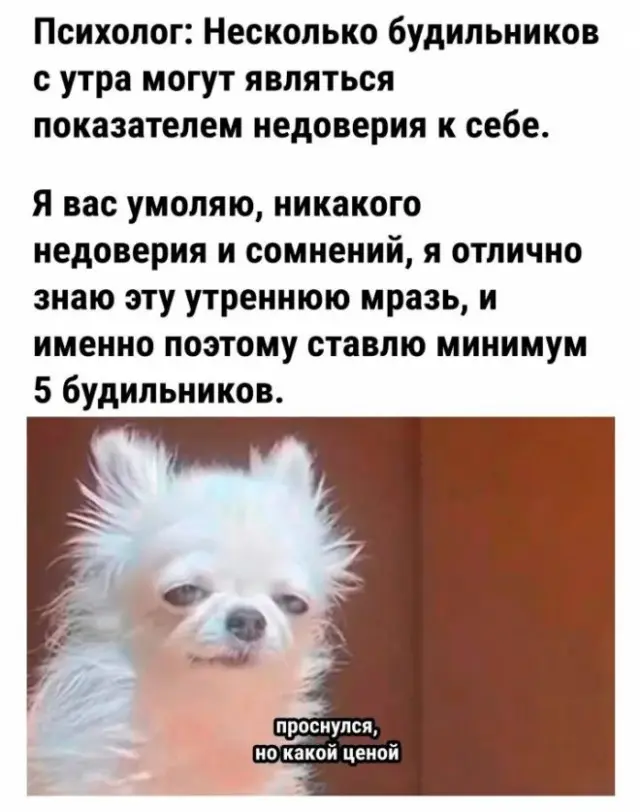 Картинки, способные рассмешить