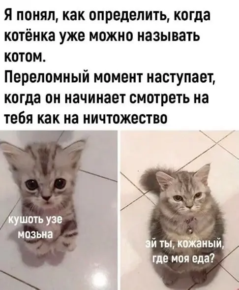 Когда хочется немного юмора: смешная подборка