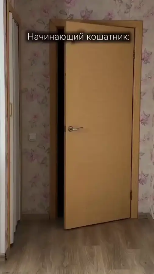 Когда у кота дом круче твоего)