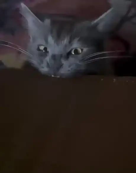 Кууууууусь...