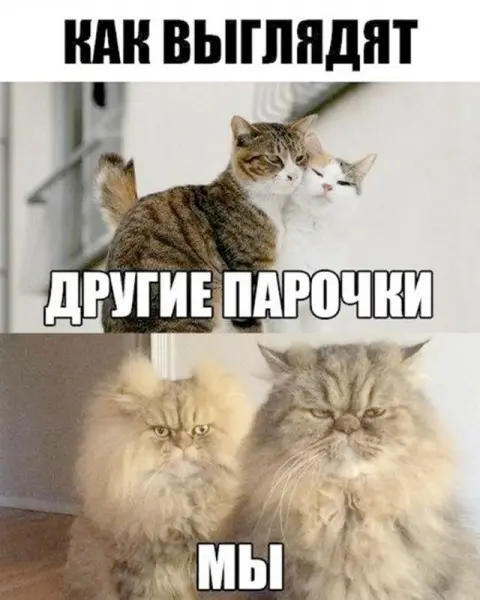 Ловите порцию хорошего настроения