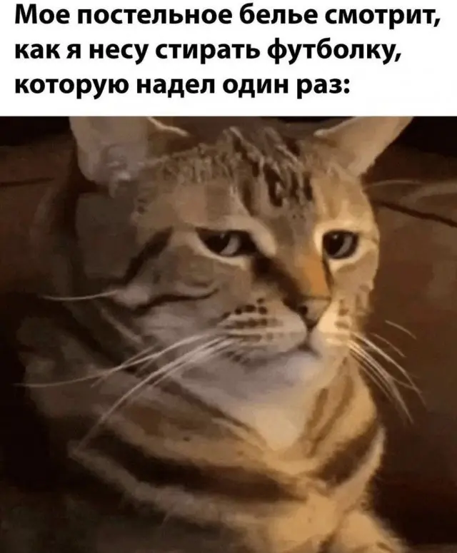 Мемы, которые поднимут настроение