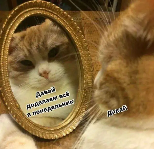 Мемы, которые разлетелись по Сети