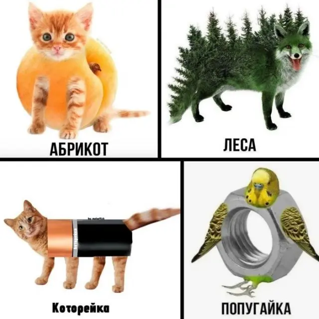 Немного безумия не помешает: смешные картинки
