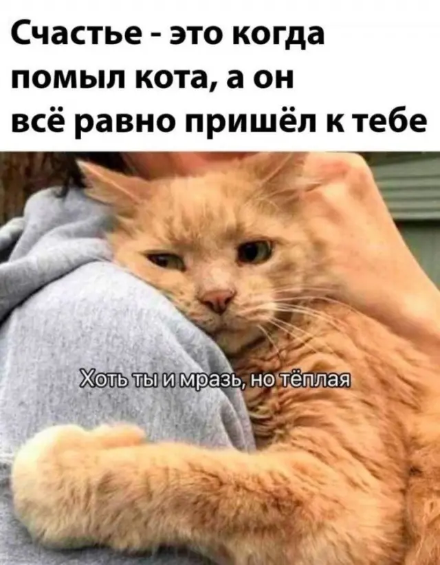 Немного безумия: смешные картинки и забавные мемы