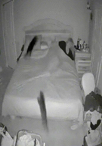 Немного хаоса: всякие, разные и смешные гифки