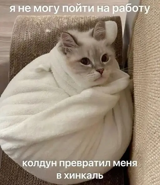 Пара минут смеха: подборка забавных картинок