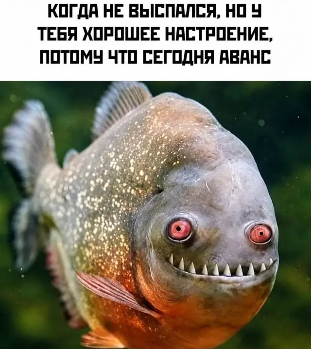 Попробуйте не засмеяться после просмотра этих картинок