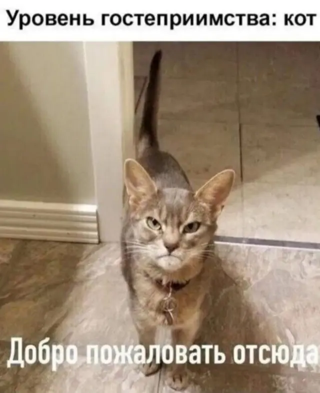 Порция смеха: дальше будет только смешнее