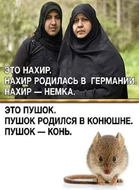 Пошлые мемы и чёрный юмор 18+ | Подборка #320