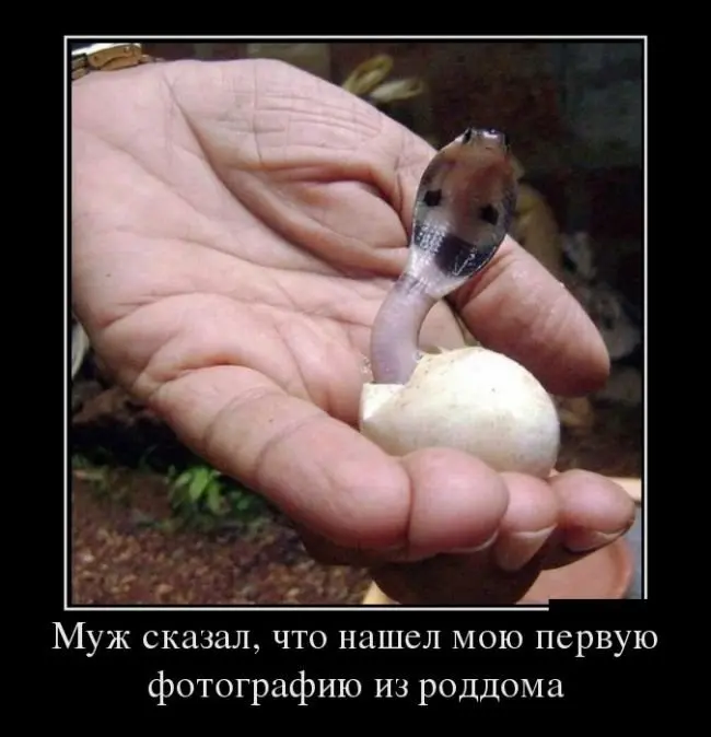 Просто смешные картинки и мемы