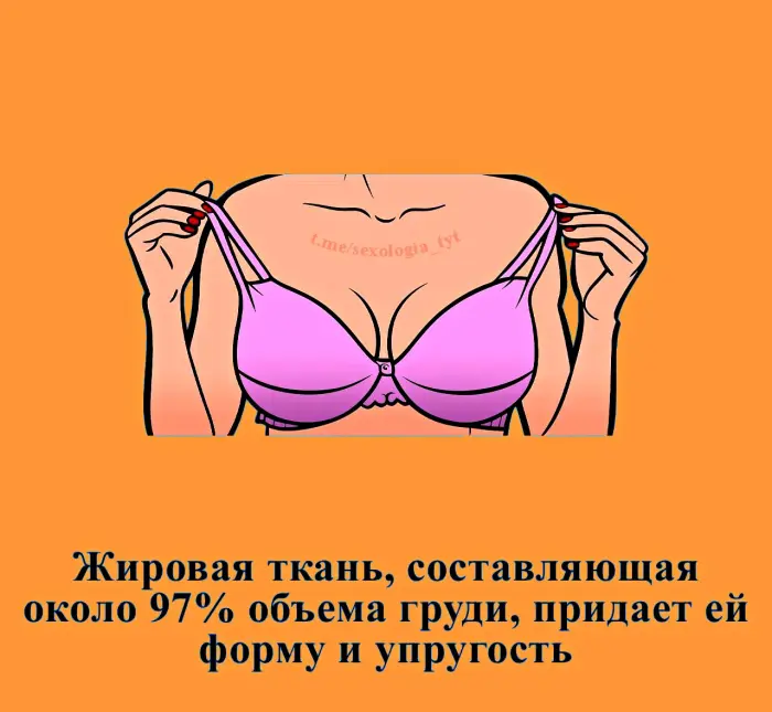 Сексуальная правда: 15 фактов, которым не научат в школе #472