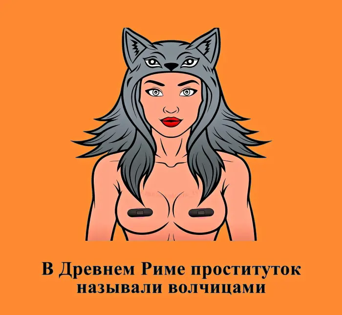 Сексуальная правда: 15 фактов, которым не научат в школе #477