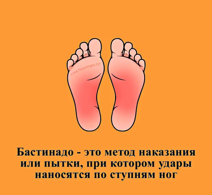 Сексуальная правда: 15 фактов, которым не научат в школе #480