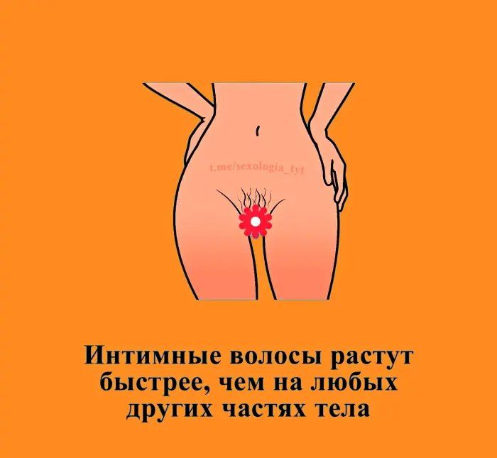 Сексуальная правда: 15 фактов, которым не научат в школе #481