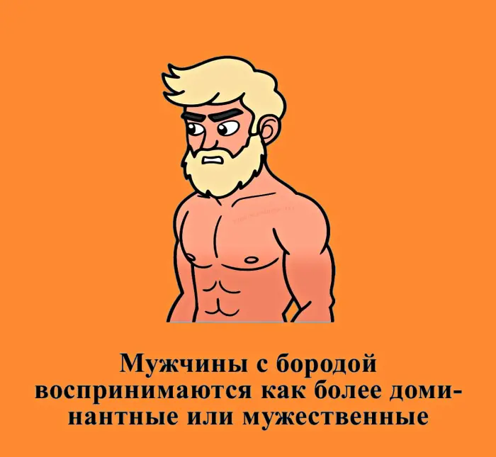 Сексуальная правда: 15 фактов, которым не научат в школе #483