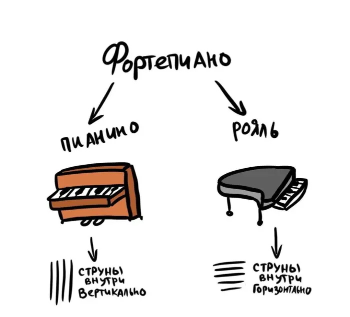 Слова, которые часто путают: в чём разница #102