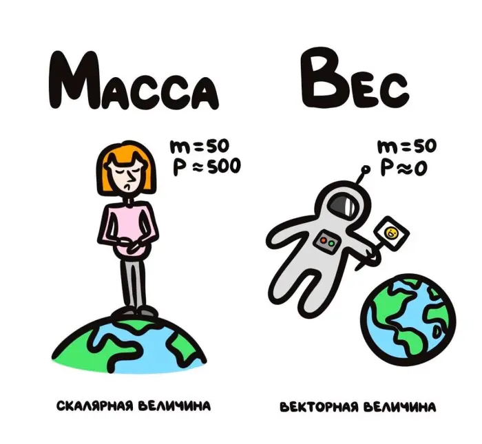 Слова, которые часто путают: в чём разница #103