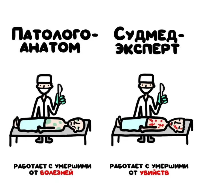Слова, которые часто путают: в чём разница #103