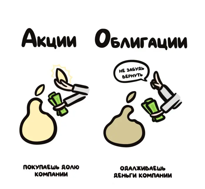 Слова, которые часто путают: в чём разница #104