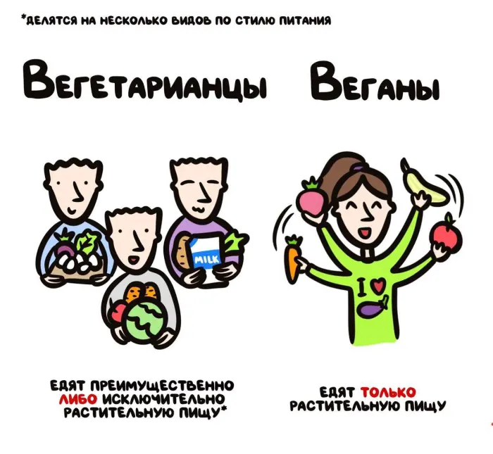 Слова, которые часто путают: в чём разница #106