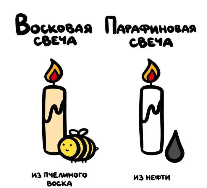 Слова, которые часто путают: в чём разница #107
