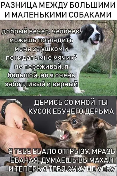 Смех начинается с первой картинки