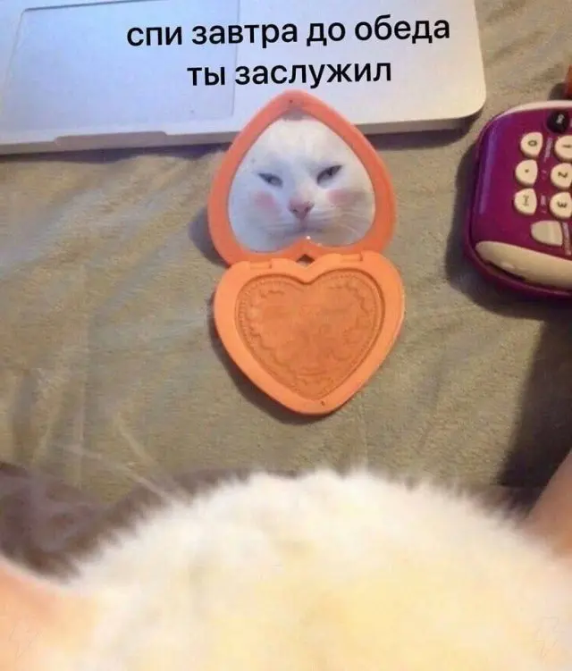 Смешные шутки и мемы разных лет из интернета