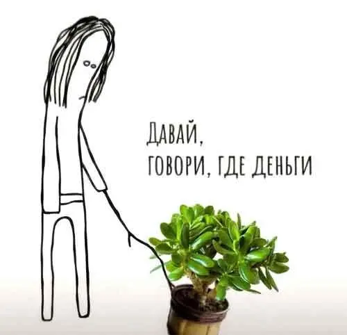Свежая порция мемов и смешных картинок
