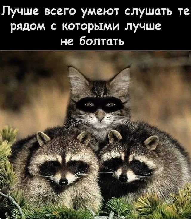 Тут есть над чем посмеяться