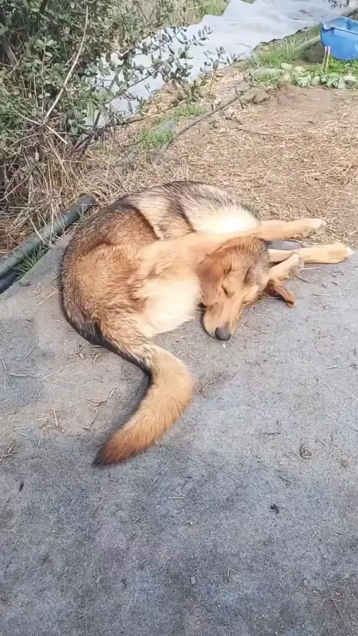 Удобненько