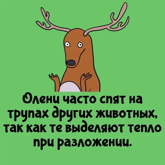 Немного любопытного на сегодня