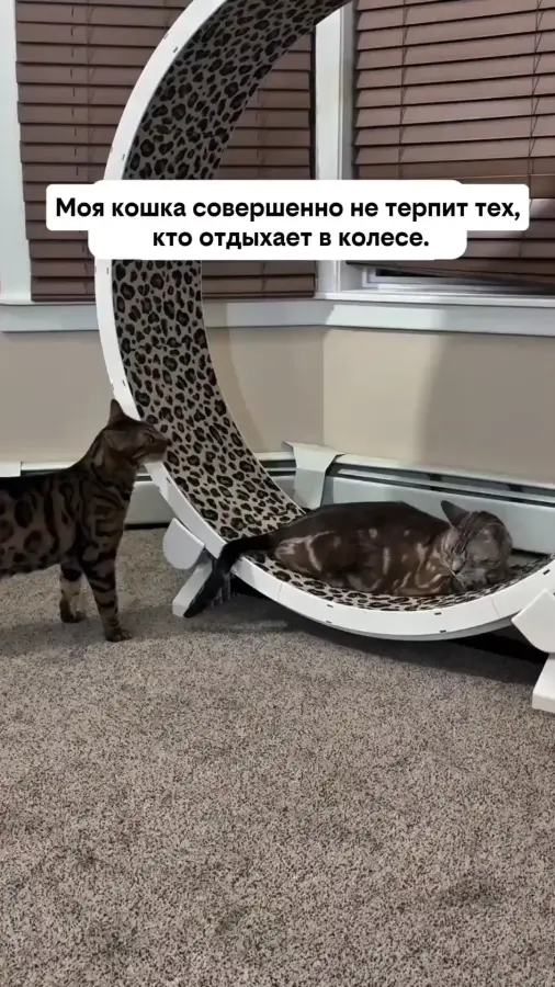 Две крайности)