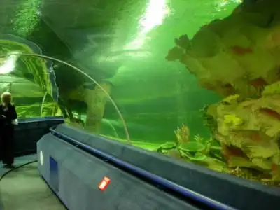 Океанариум в Питере